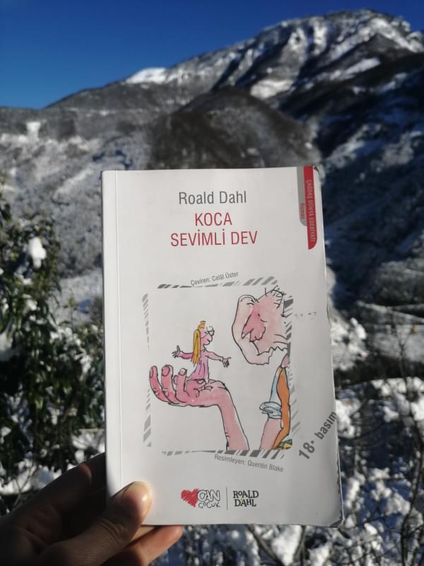 The cover of a Turkish translation of The BFG showing a girl standing on a large hand beside the head of a giant
